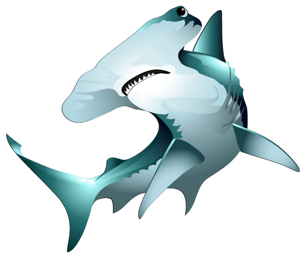 Free Free Hammerhead Shark Svg 660 SVG PNG EPS DXF File