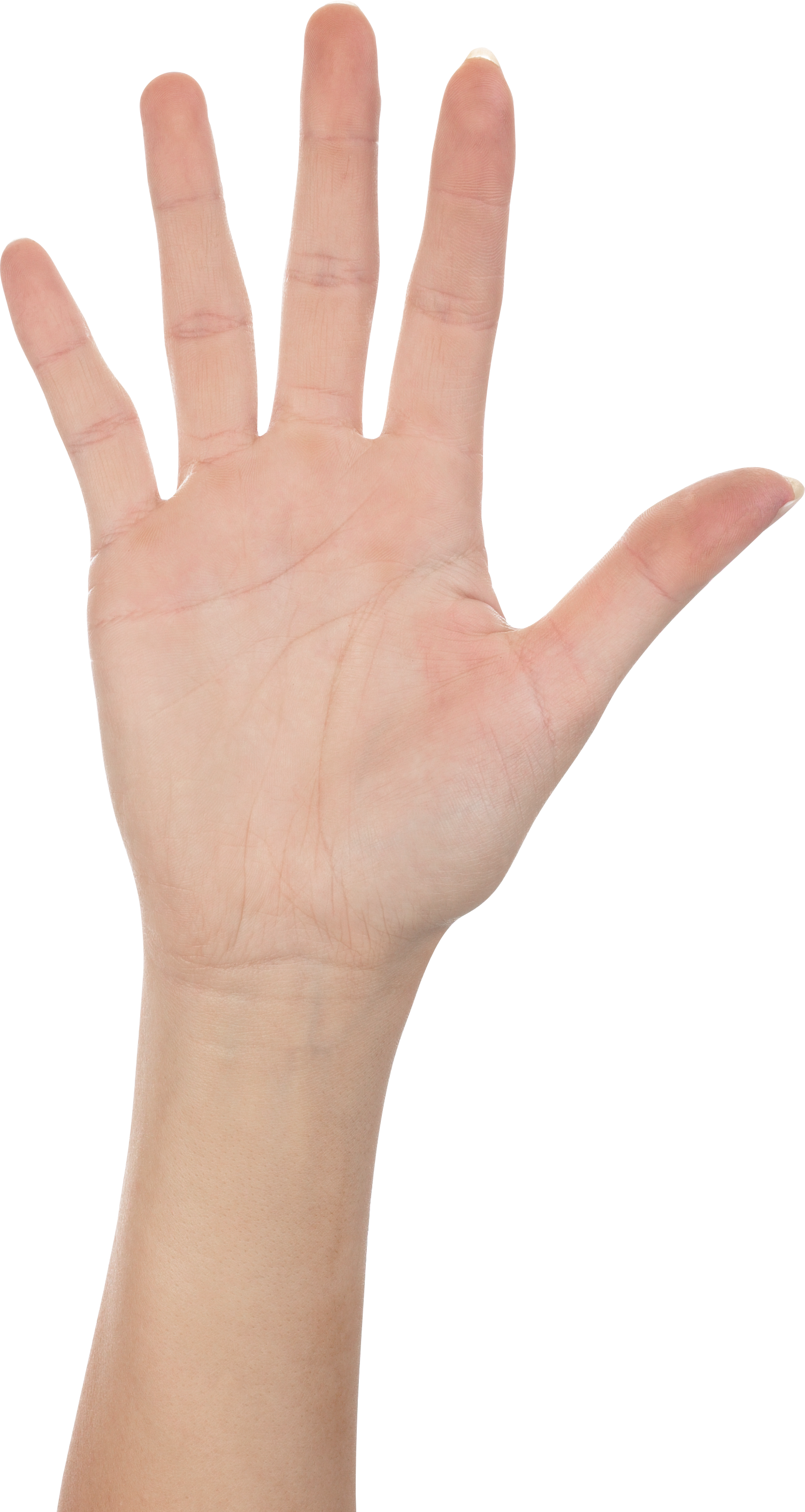 Five Finger Hand PNG Image.