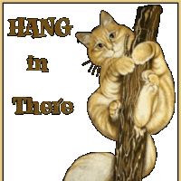 Hang In There Cat Clipart.