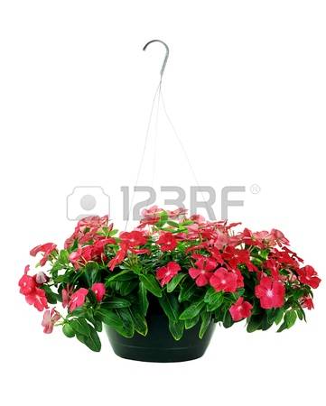 Hanging baskets clipart 20 free Cliparts | Download images on