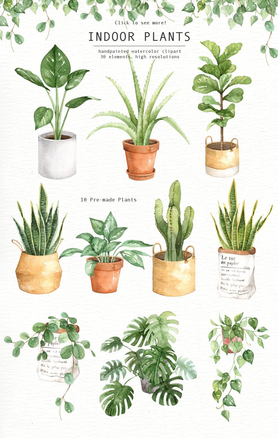 Indoor Plants Watercolor clipart, Watercolour Leaves.