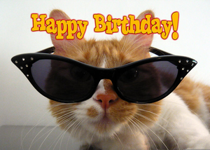 Happy Birthday Cat.