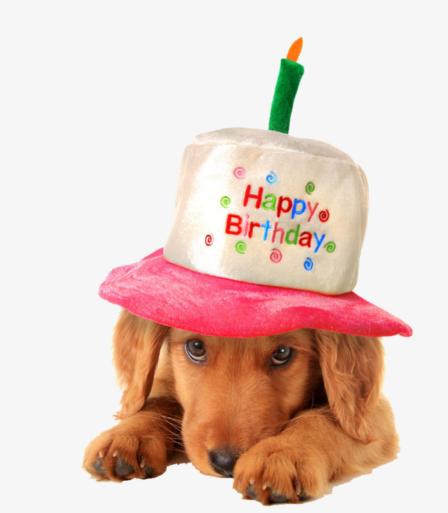 Birthday Dog PNG Transparent Birthday Dog.PNG Images..