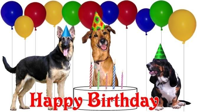 happy birthday dog clipart 10 free Cliparts | Download images on Clipground 2023