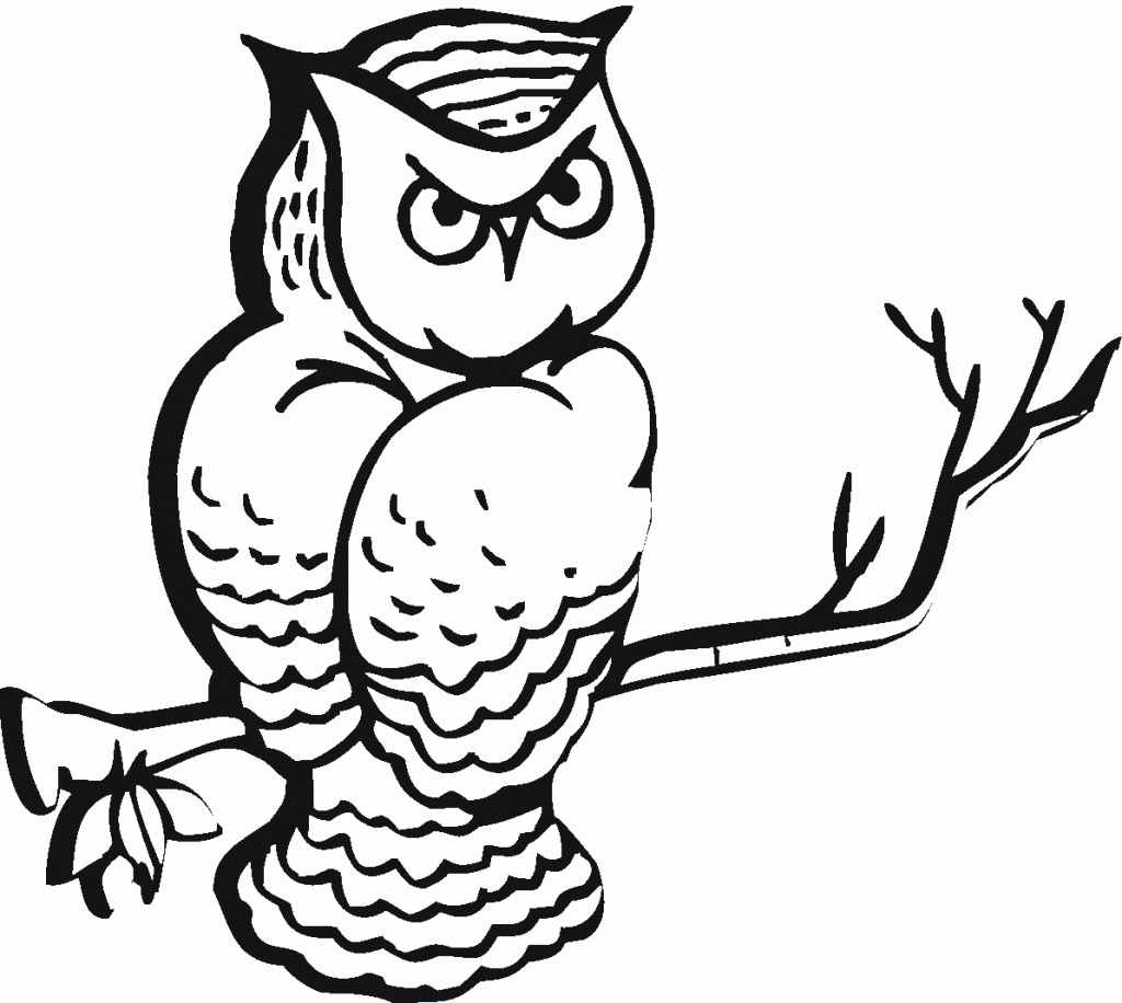 Download hard owl clipart 20 free Cliparts | Download images on Clipground 2021