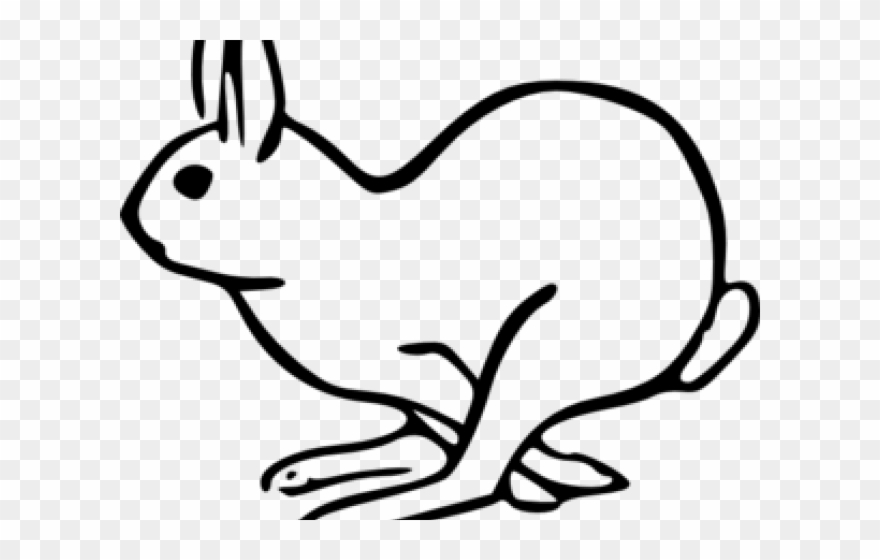 hare images clipart 10 free Cliparts | Download images on Clipground 2021
