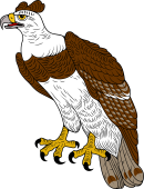 Harpy eagle clipart.