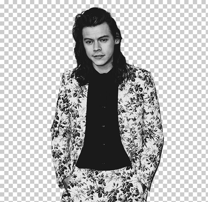 Harry Styles Blazer Suit Fashion T.