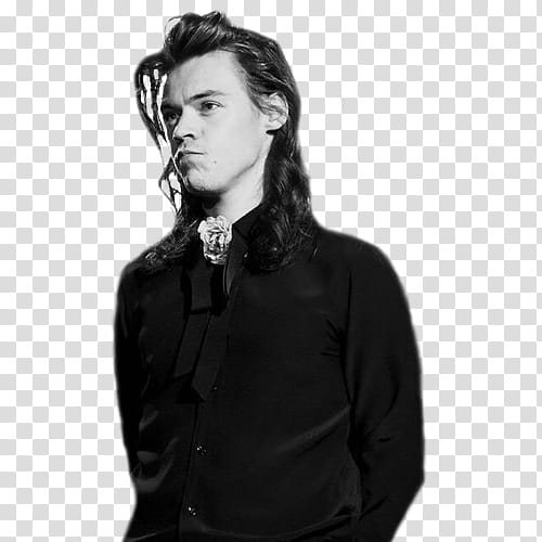 Harry Styles, man wearing black top transparent background.