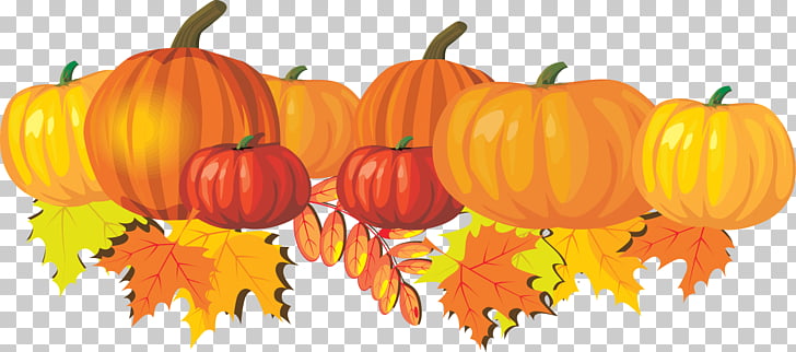 Autumn Free content Harvest festival , Fall Mum s PNG.