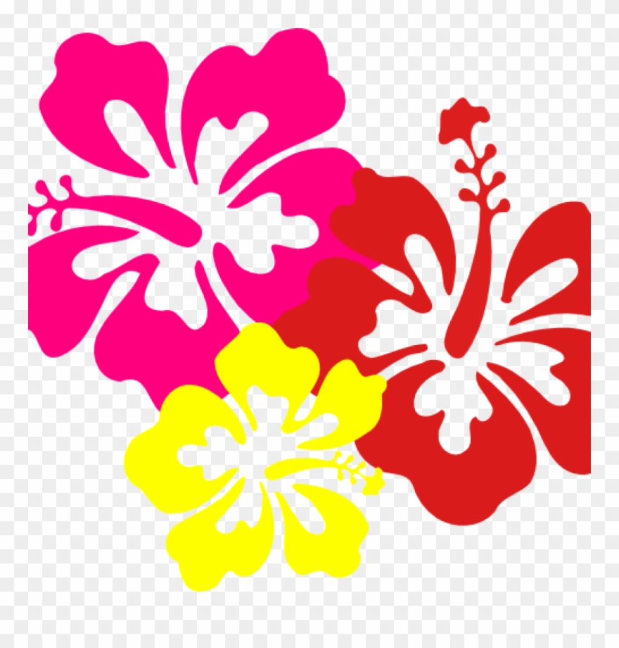 Hawaiian Border Clip Art Hawaiian Flower Clip Art Borders.