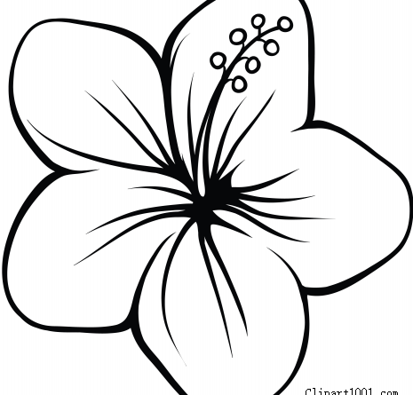 hawaiian flower clipart black and white 10 free Cliparts | Download ...