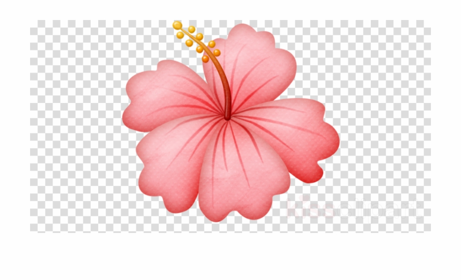 Hawaiian Flowers Png Clipart Hawaii Flower Clip Art.