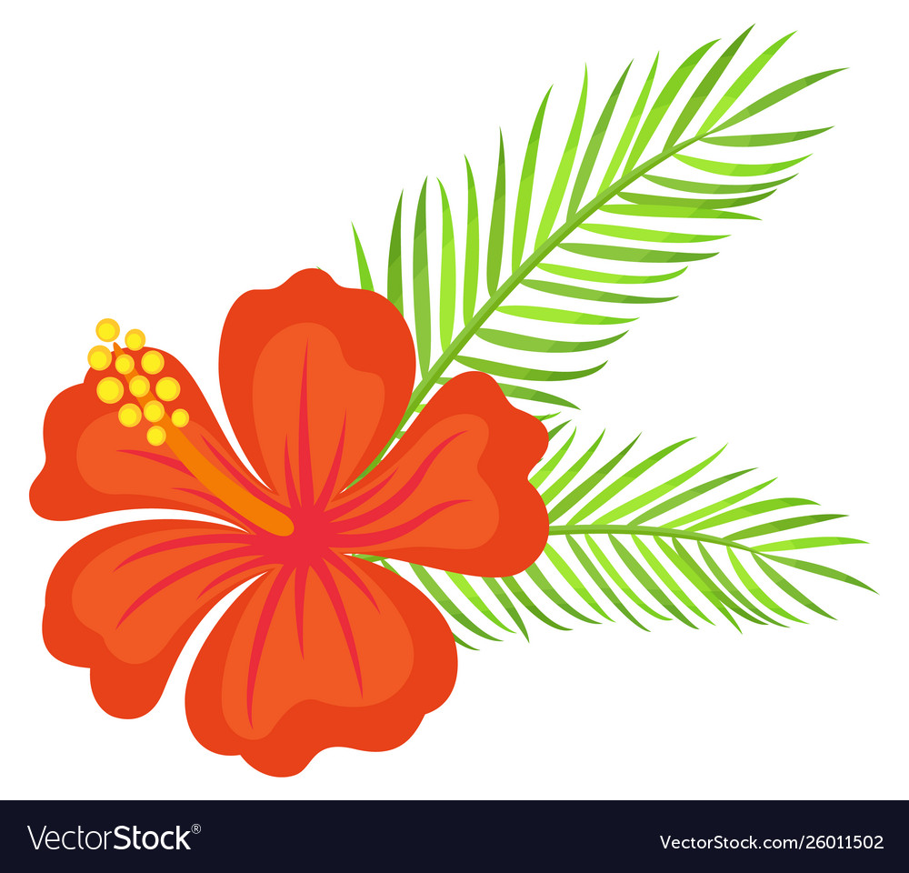 hawaiian flower vector clipart 10 free Cliparts | Download images on