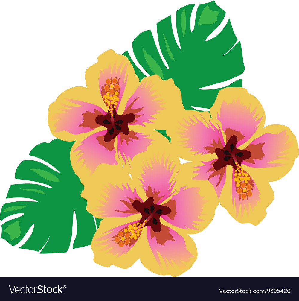 hawaiian flower vector png 10 free Cliparts | Download images on