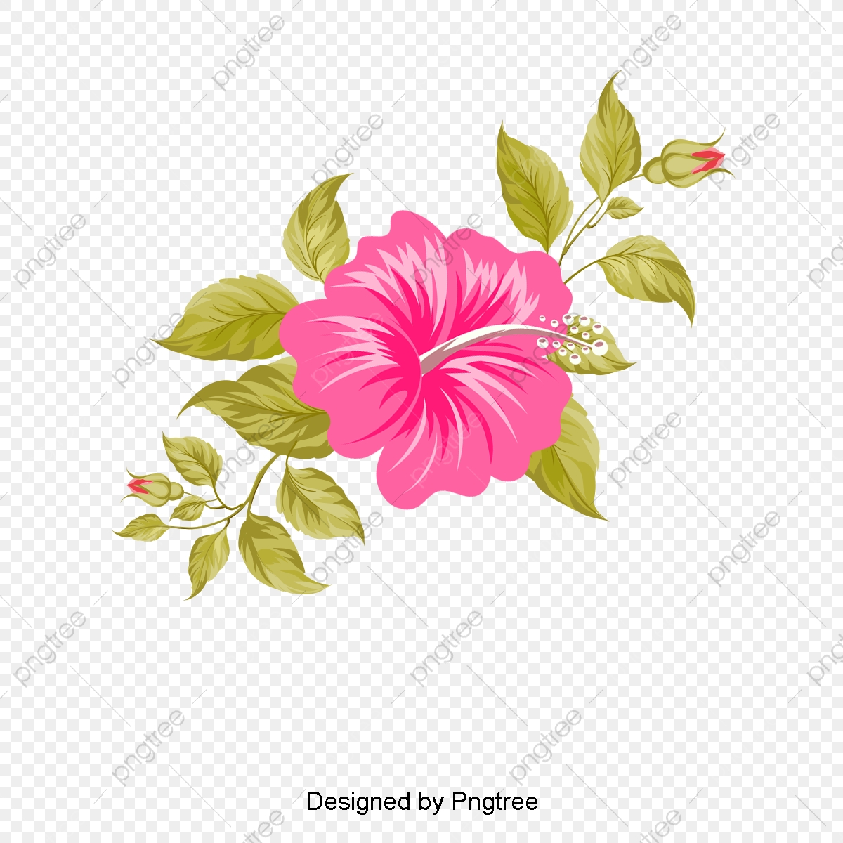 Hawaii Hand Painted Flowers, Hawaii, Tropic, Hand PNG and Vector.