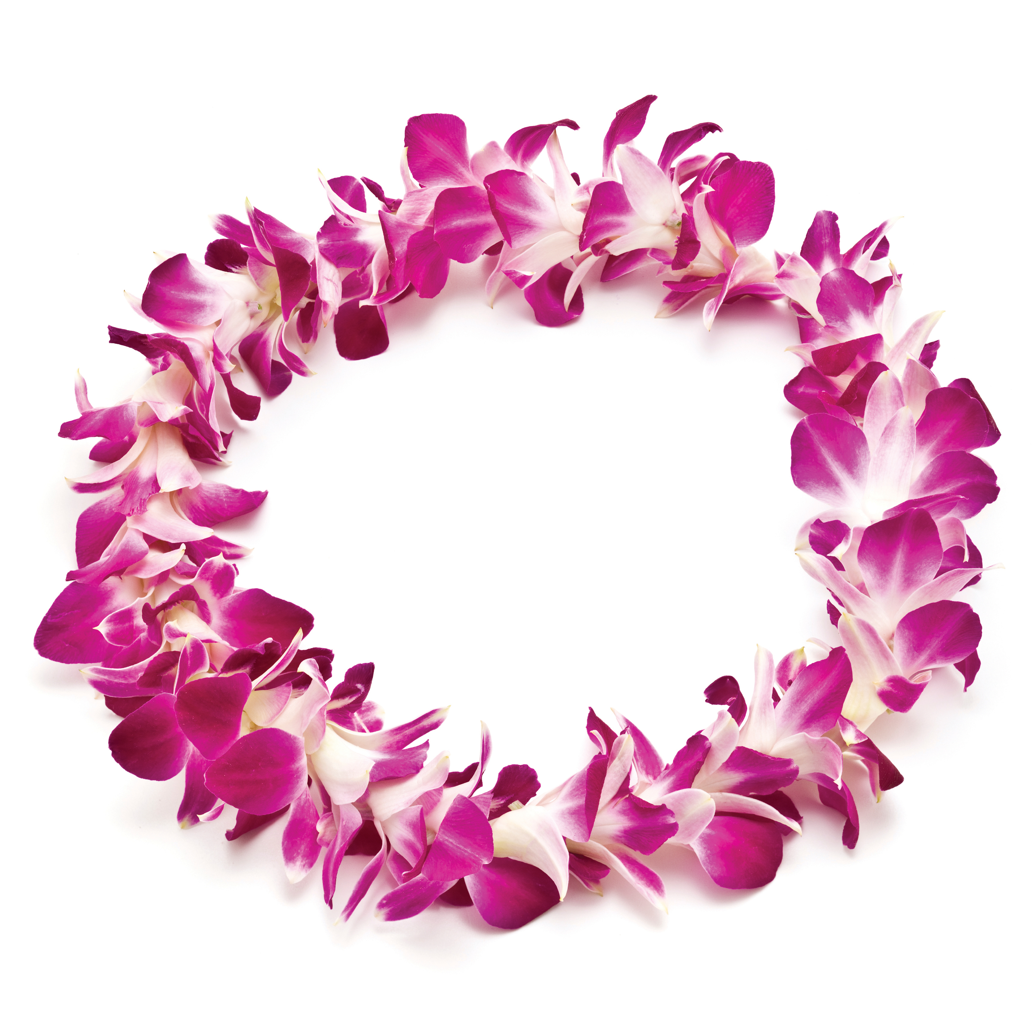 Hawaiian Lei Png (108+ images in Collection) Page 3.