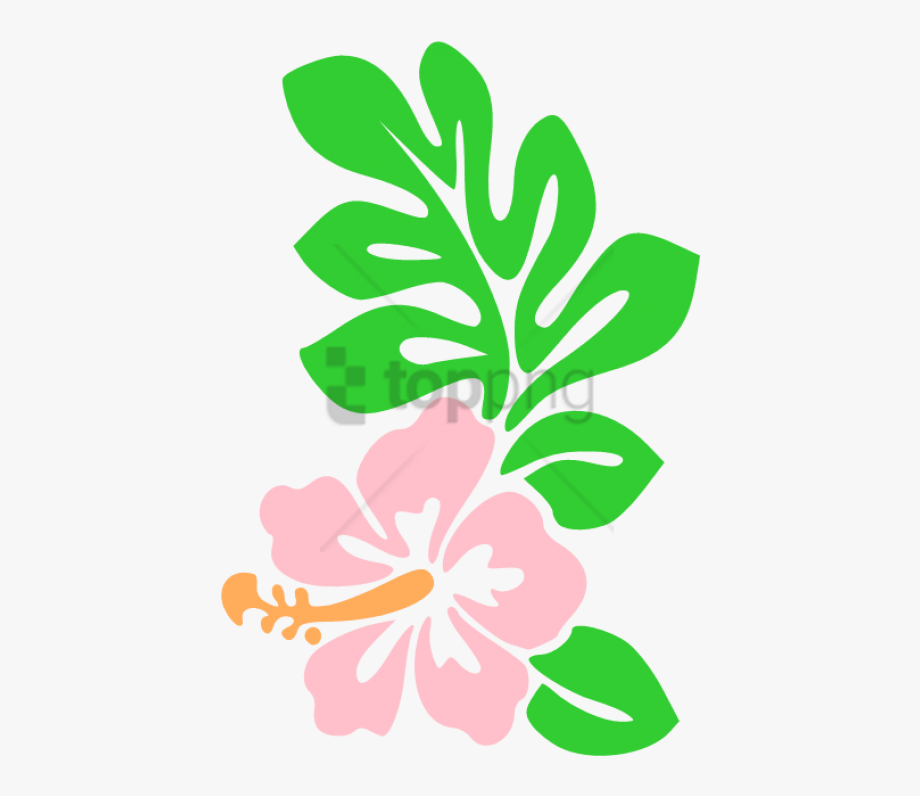 Free Png Hawaii Flower Cartoon Draw Hawaiian Flowers.