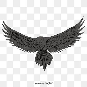 Hawk Png, Vector, PSD, and Clipart With Transparent Background for.