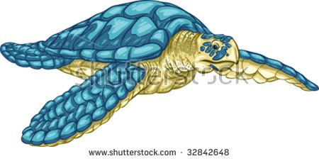 Hawksbill Turtle Stock Images, Royalty.