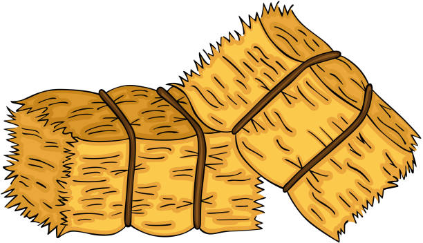 Hay Bale Clip Art 10 Free Cliparts Download Images On Clipground 2023