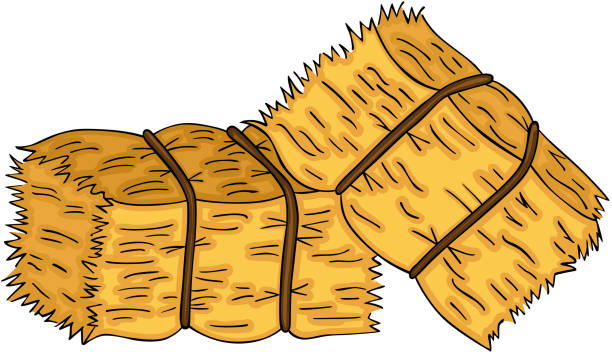 hay bale clip art free 10 free Cliparts Download images on Clipground ... 