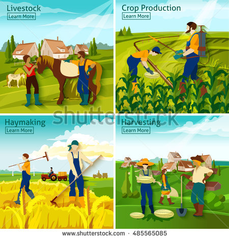 Haymaking Stock Images, Royalty.