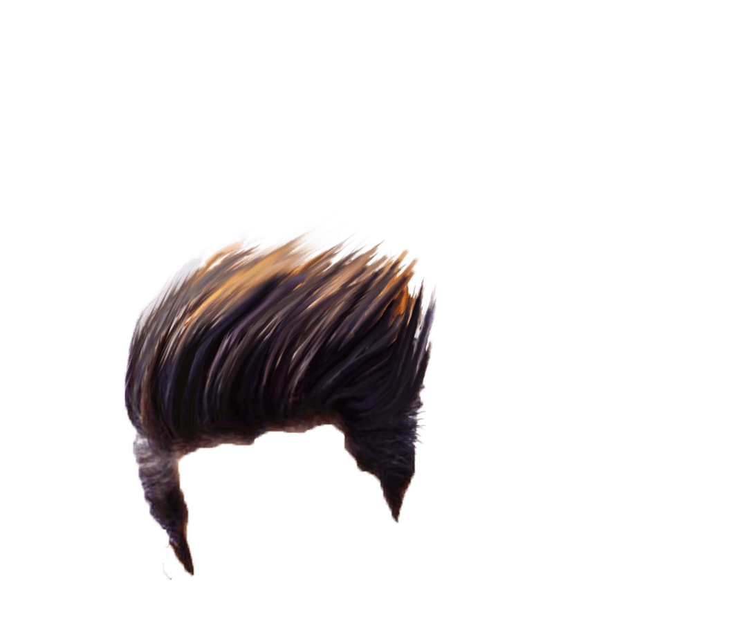 Best Hair Png For Editing.