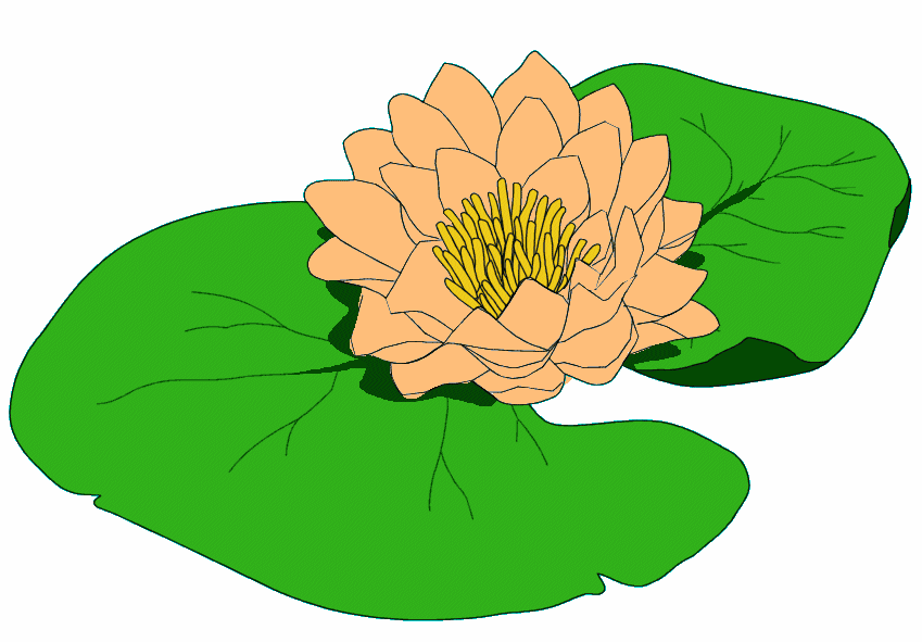 Lily Pad Clipart.