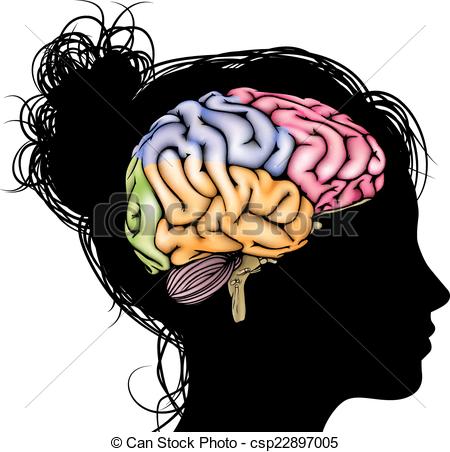 Brain woman head Illustrations and Clip Art. 1,740 Brain woman.