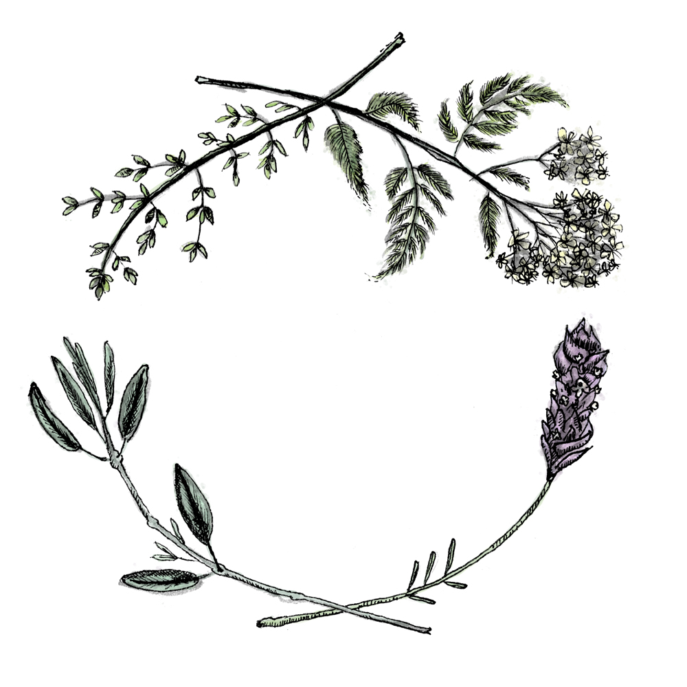 Healing herbs wreath by Sarah Mould Maybe switch out the sage.