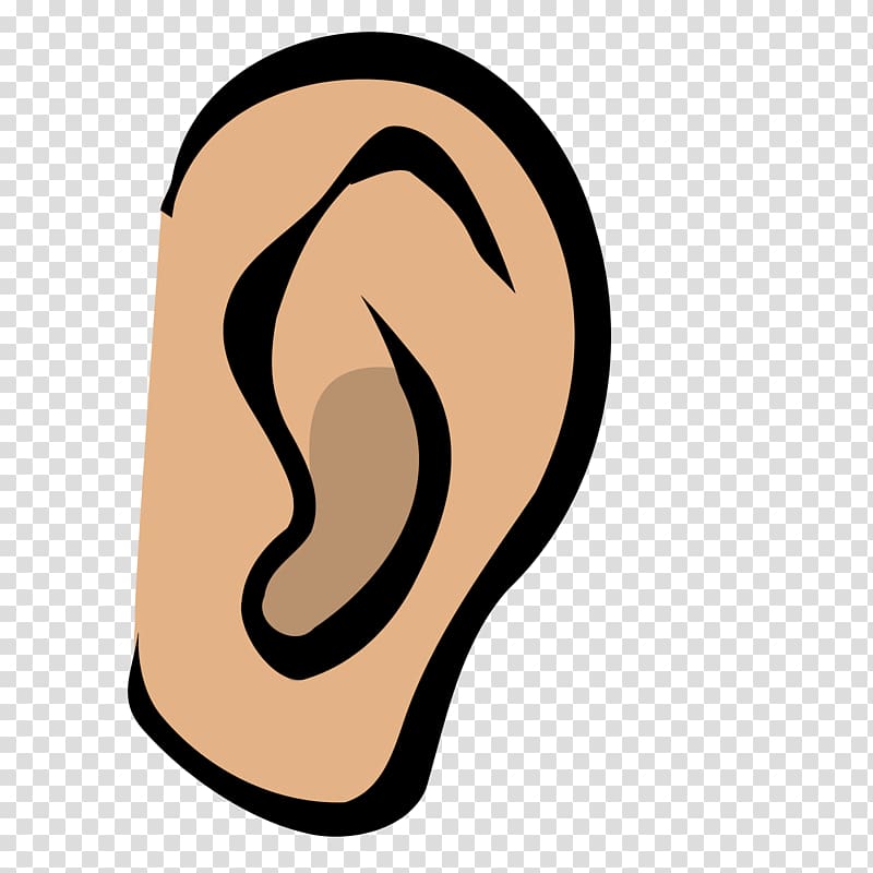 Hearing , ear transparent background PNG clipart.