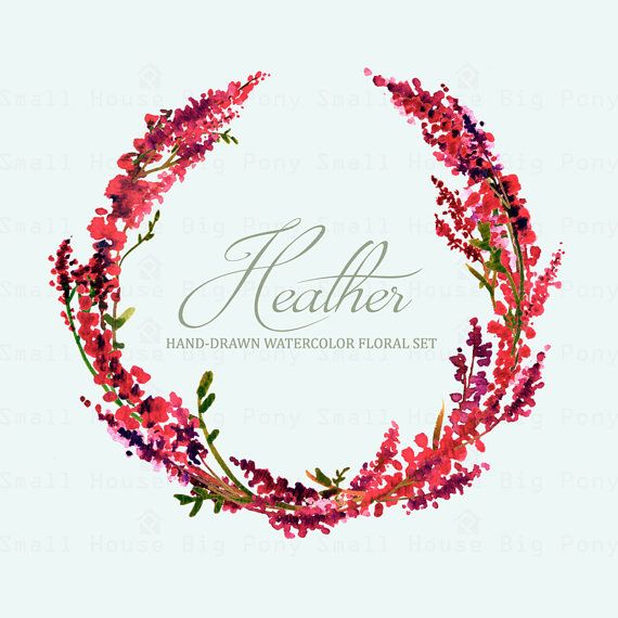 Watercolour Floral Clipart: Scot Heather Sprigs Wreath.