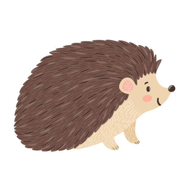 Hedgehog Clip Art 10 Free Cliparts Download Images On Clipground 2026 Hedgehog Clip Art 10 Free Cliparts Download Images On Clipground 2026