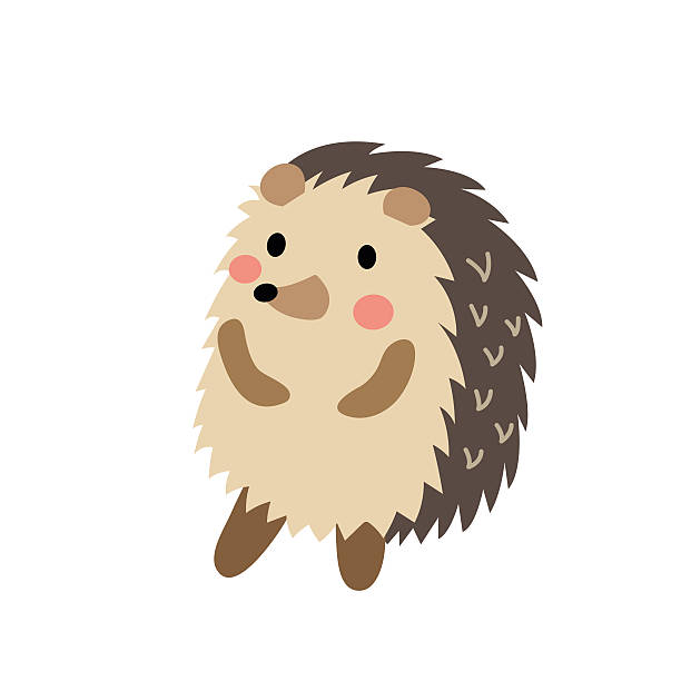 Best Hedgehog Illustrations, Royalty.
