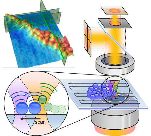 Soft probing with optical tweezers.