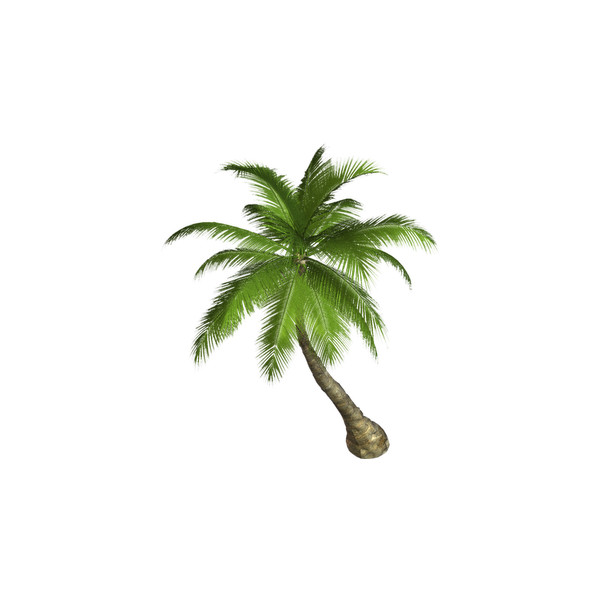 90s palm tree internet clipart.