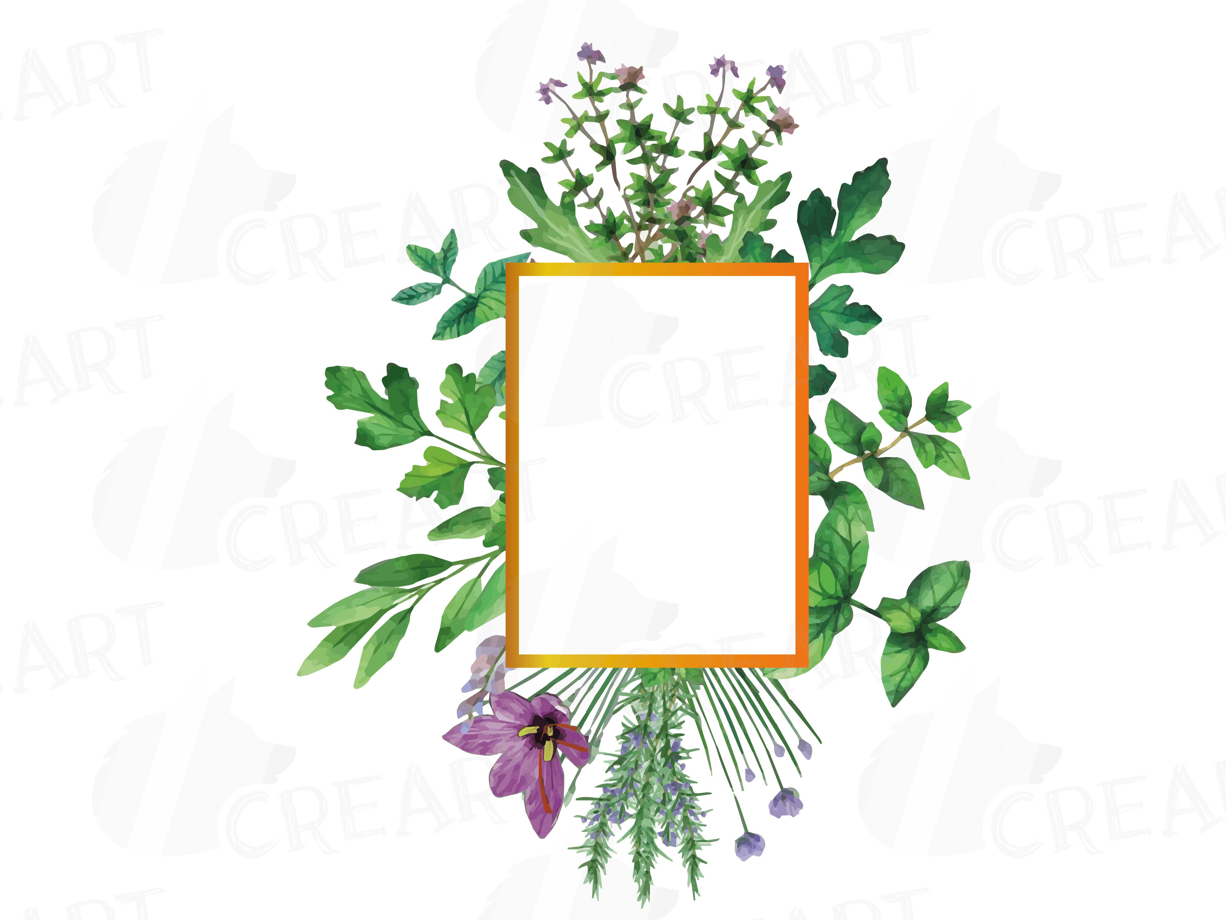 Herbs and Spices frames watercolor clip art pack, watercolor herb leaves  borders. PNG, jpg, svg, vector illustrator & corel files included.