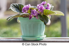 Stock Photo of Herbaceous plants are annual, biennial and.
