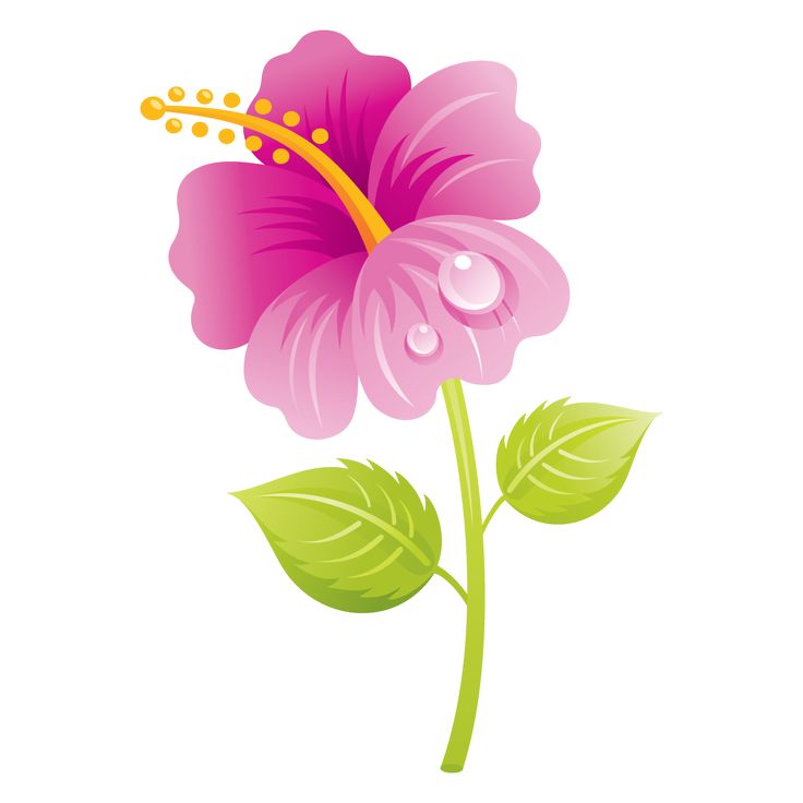 1000+ ideas about Clipart Of Flowers on Pinterest.