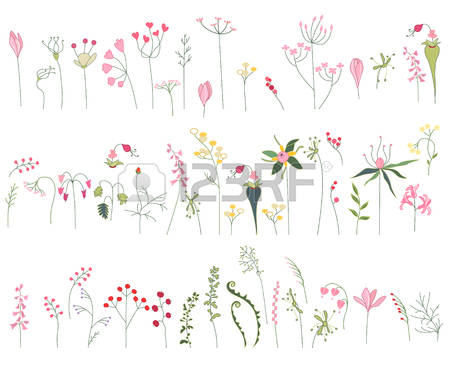 489 Herbage Stock Vector Illustration And Royalty Free Herbage Clipart.