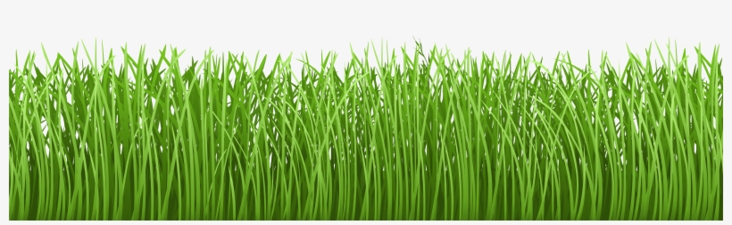 Grass Vector Png Download.