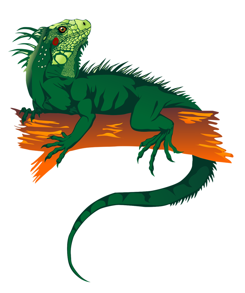 Iguanidae clipart 20 free Cliparts | Download images on Clipground 2023