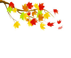Herbst Illustrations and Clip Art. 85 Herbst royalty free.
