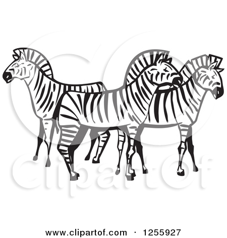 incomplete zebra clipart