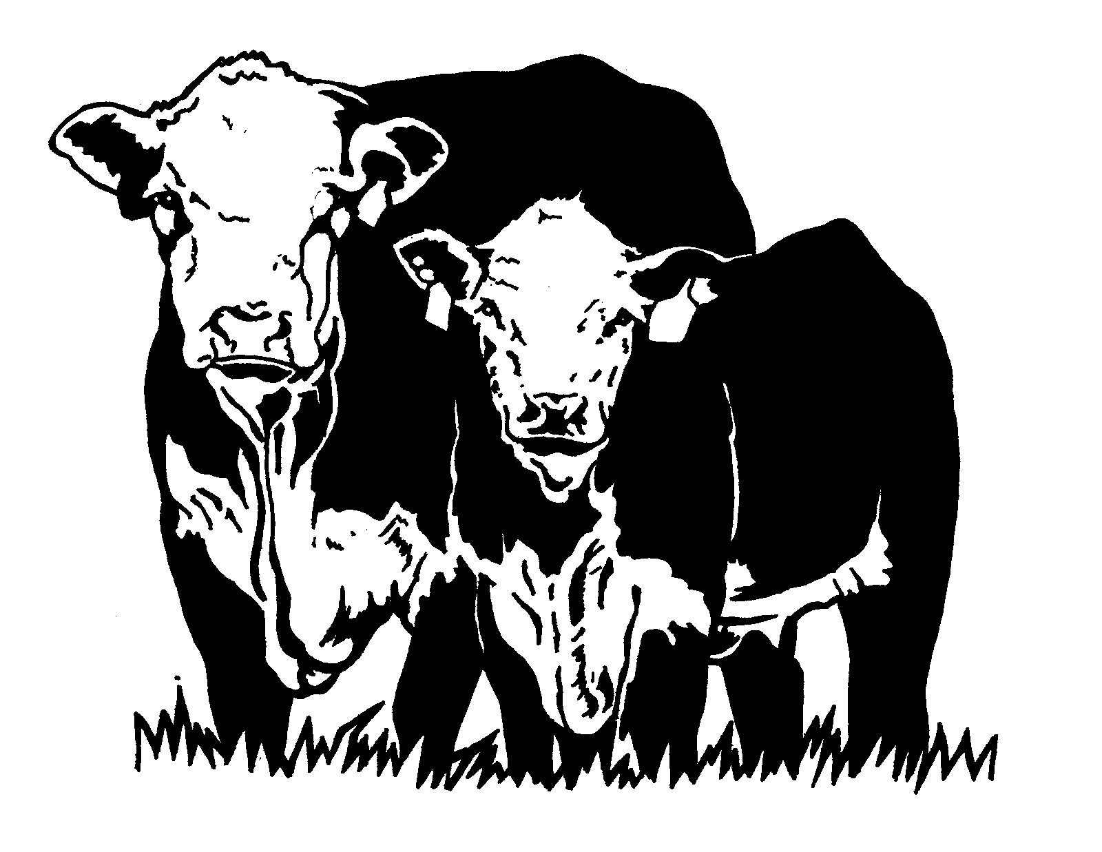 hereford cow clipart 10 free Cliparts | Download images on Clipground 2021