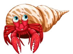 Hermit Crab Facts Habitat Coloring Page Clipart.