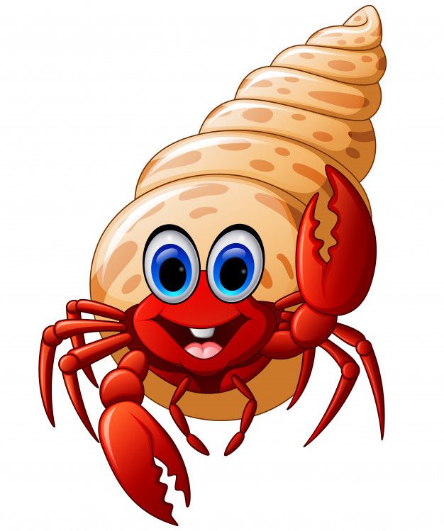 Hermit Crabs Clipart 10 Free Cliparts Download Images On Clipground 2024