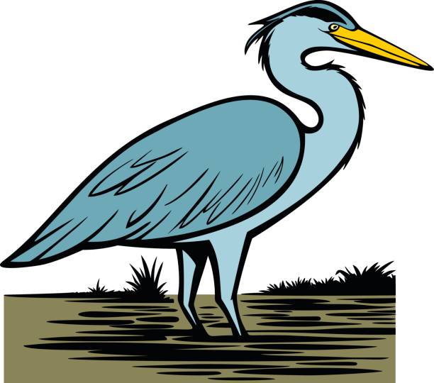 heron clip art 10 free Cliparts | Download images on Clipground 2023