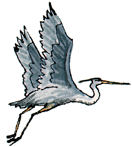 Free Heron Clipart, Download Free Clip Art, Free Clip Art on.